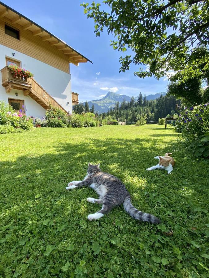 Landhaus Barbara Kitzbühel Buitenkant foto